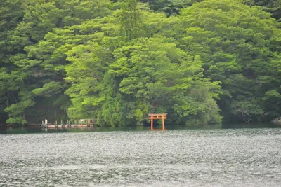 DSC_3742 (Large).JPG